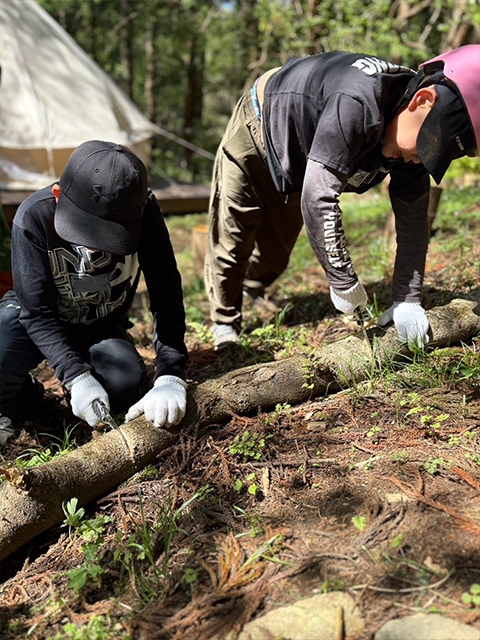 こびとの森　ワークショップ